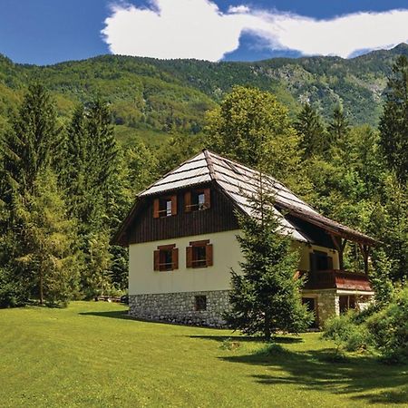 Chalet Primus Near Soca Gorge - Happy Rentals Екстер'єр фото
