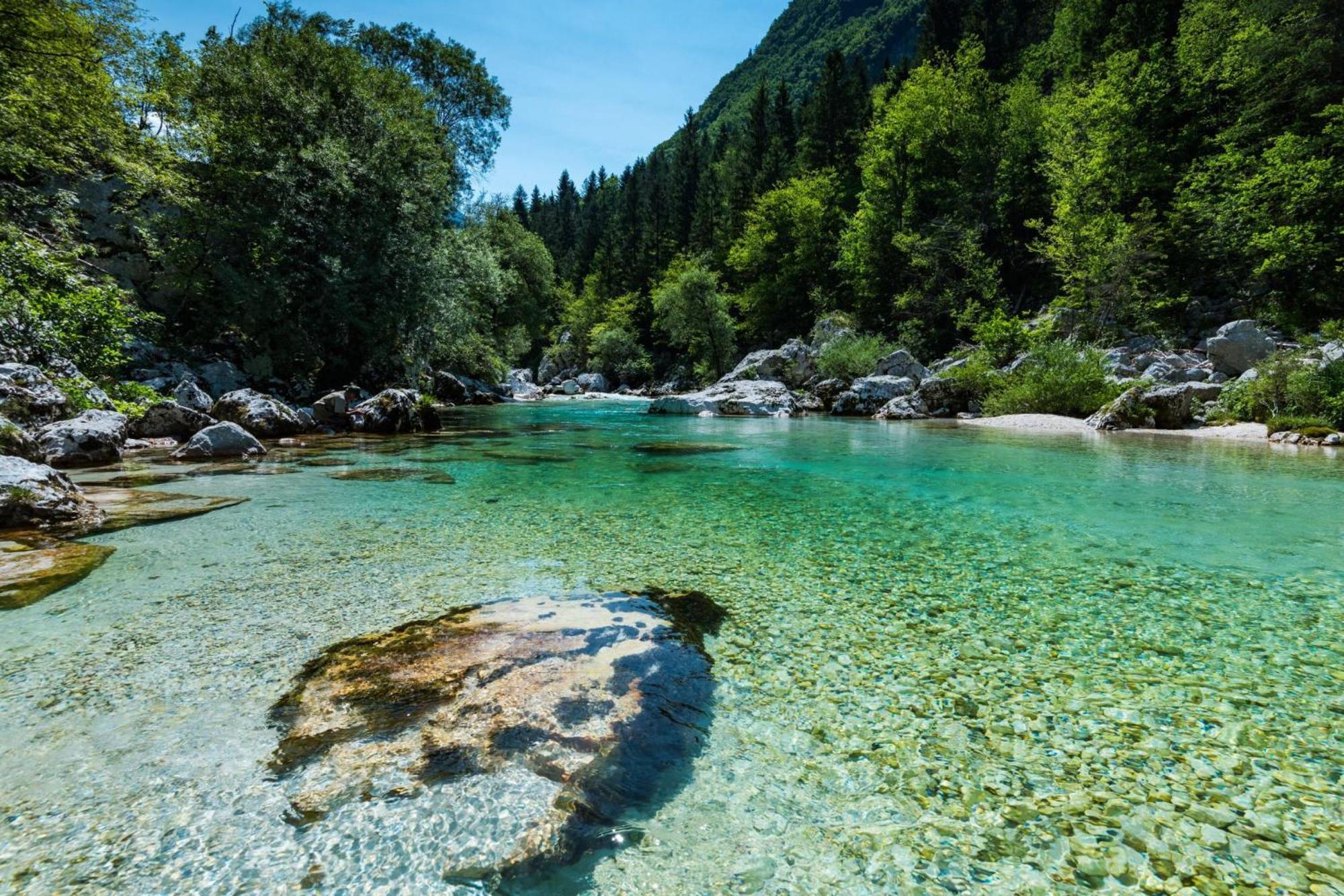 Chalet Primus Near Soca Gorge - Happy Rentals Екстер'єр фото